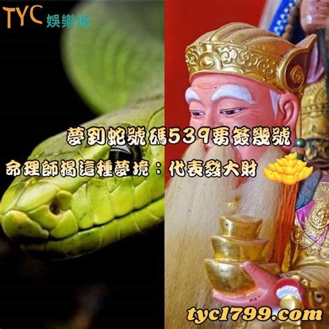 壓到蛇代表什麼|【壓到蛇代表什麼】壓到蛇是什麼兆頭？吉凶大解析，掌握關鍵忌。